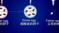 夫妻基因不合能否尝试试管婴儿，三代试管技术可以帮助避免基因缺陷