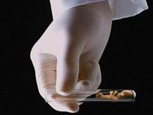 深圳试管婴儿费用大揭秘，一次治疗的花销与性价比