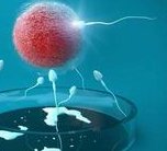 厦门妇幼保健院三代试管婴儿流程是什么？一起分为哪几个步骤