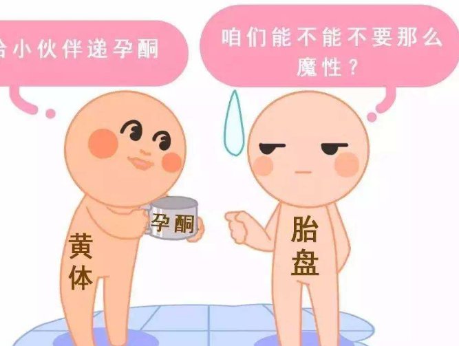 美国三代试管婴儿费用全解析，预算规划指南