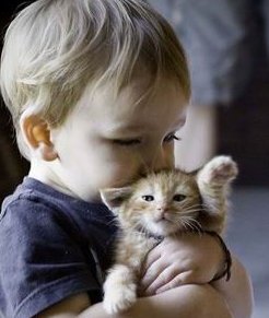 试管婴儿全流程详细解析，最关键的环节莫过于促排卵